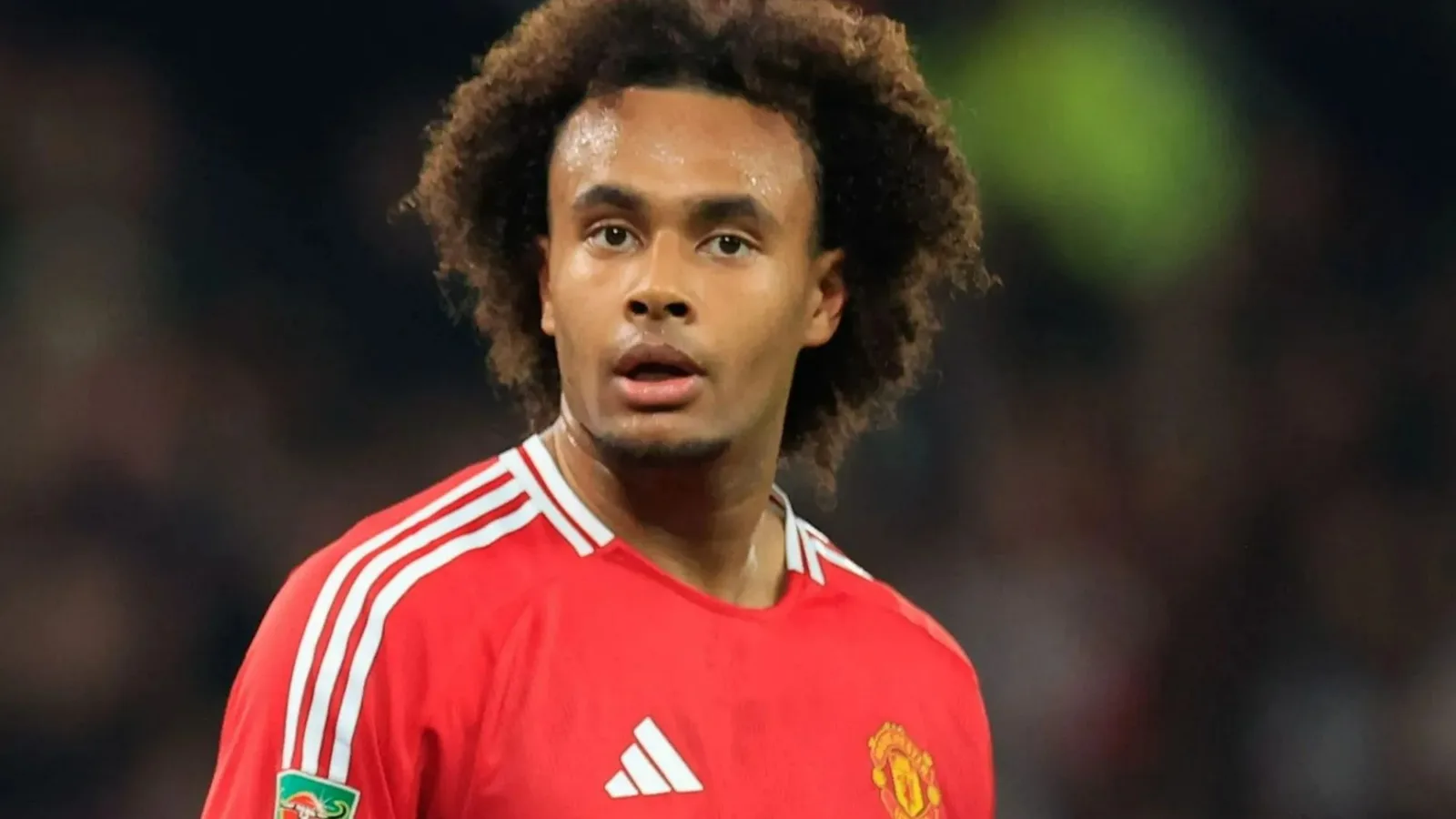 Joshua Zirkzee « retournerait volontiers en Italie » après les difficultés de Man Utd quelques mois seulement après son transfert avec la Juventus