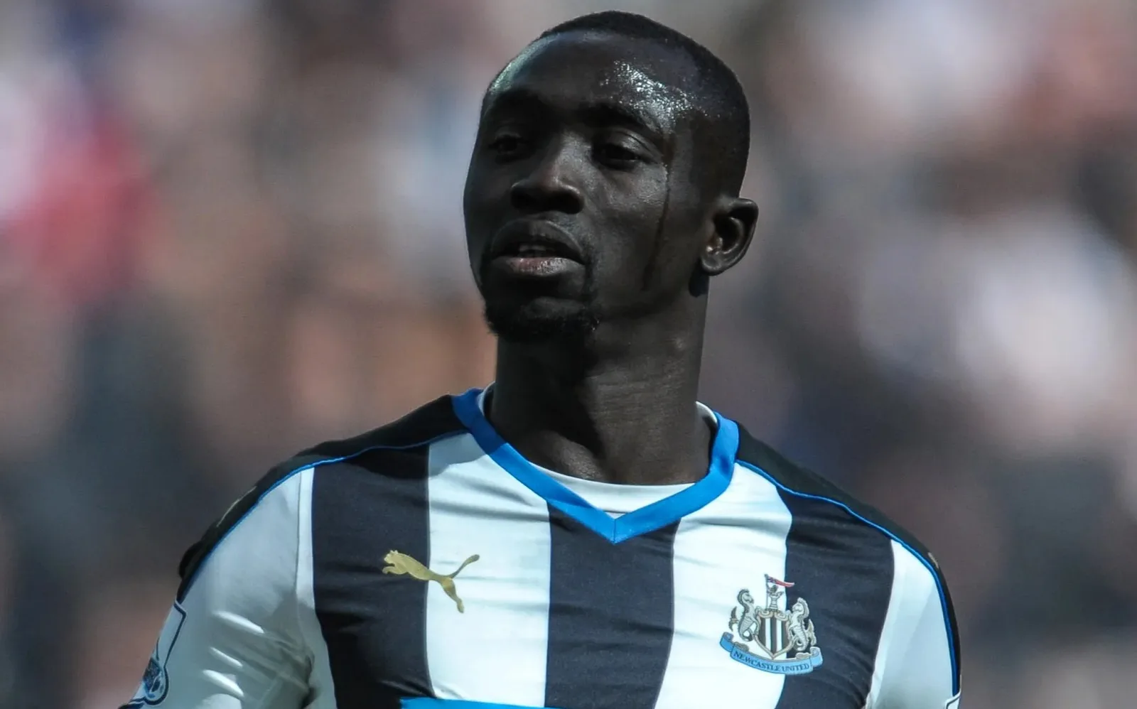 L’icône de Newcastle Papiss Cisse, 39 ans, a attiré sa retraite après deux ans par l’ancien coéquipier pour rejoindre les ménés de quatrième niveau