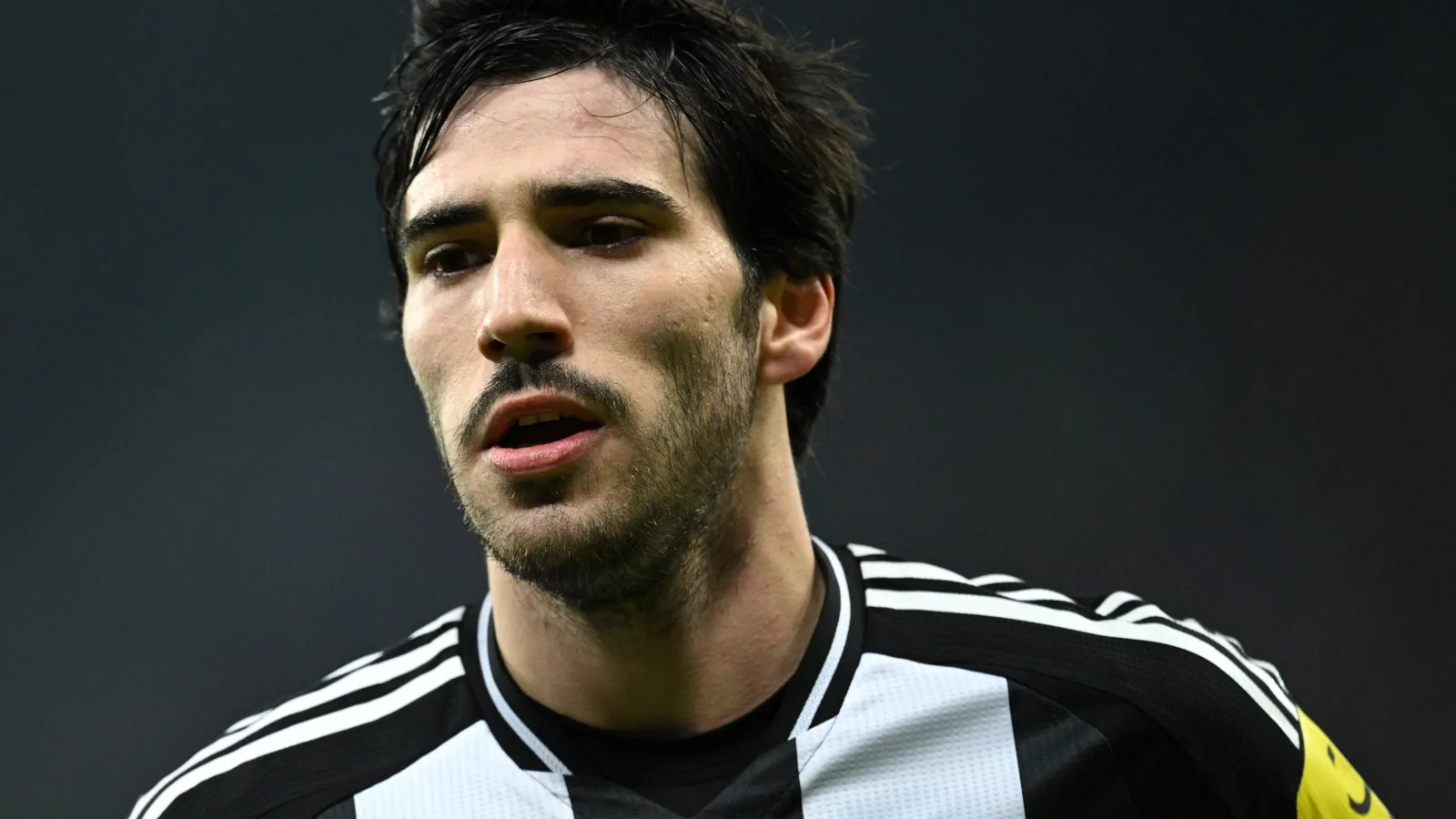 L’agent de Sandro Tonali aborde les discussions sur le transfert tandis que Callum Wilson publie une déclaration « émotionnelle » de 110 mots après une nouvelle blessure