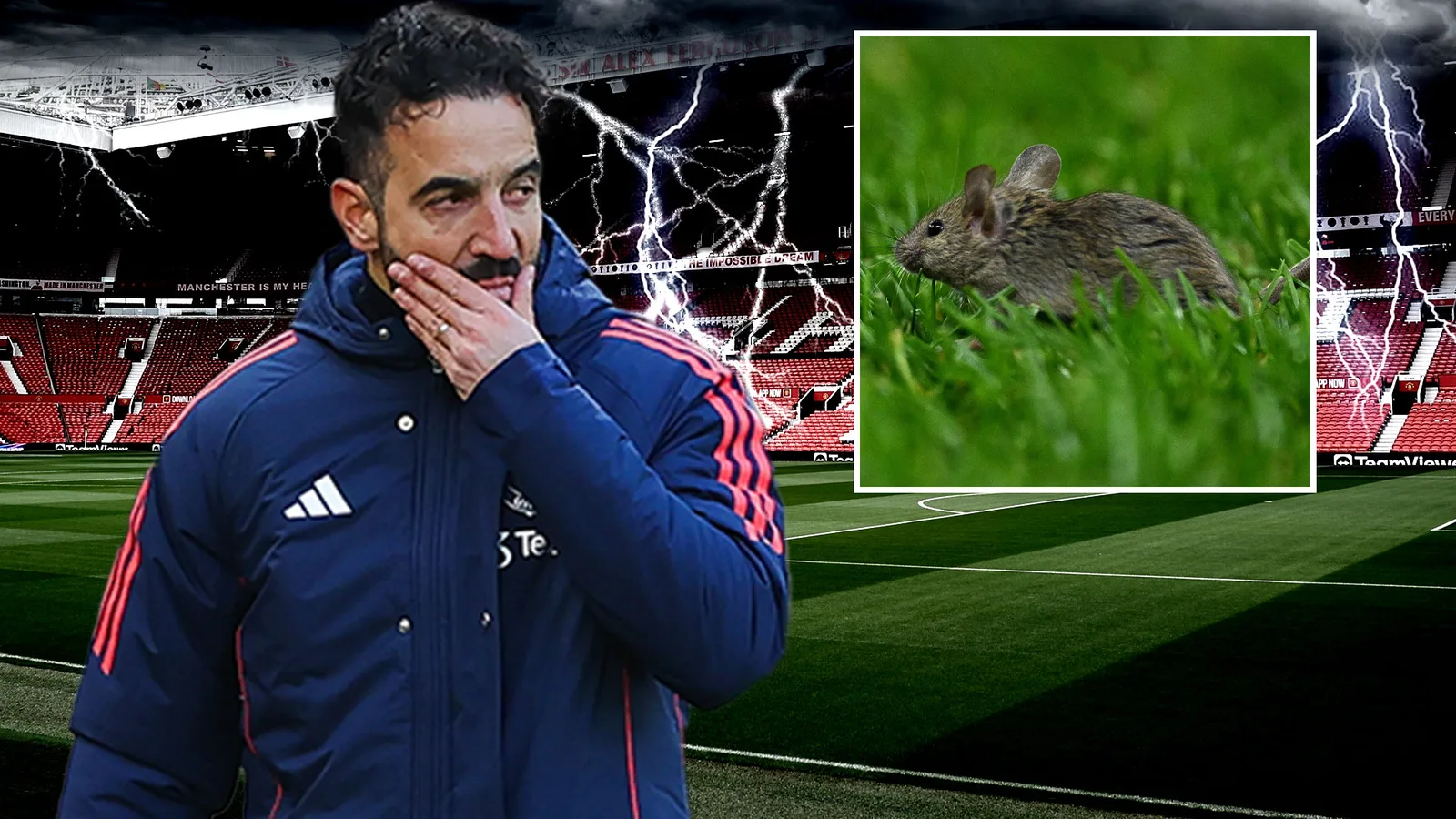 Old Trafford souffre d’une infestation de MICE après qu’une inspection ait découvert des excréments de rongeurs dans des kiosques de nourriture et des suites luxueuses