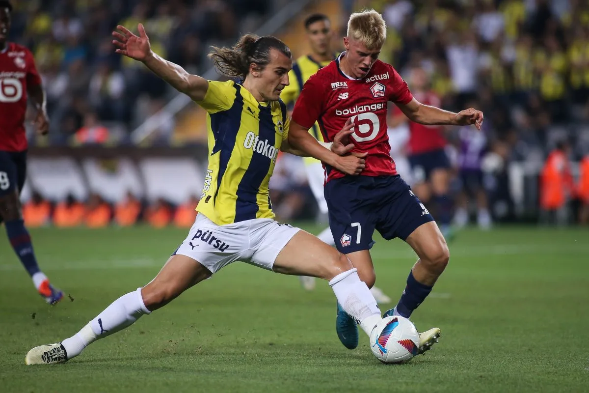 PROFIL | Le Lille Hákon Arnar Haraldsson métamorphosé en 2024