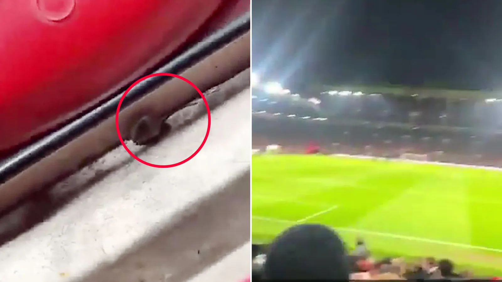 Moment Mouse est repéré à Old Trafford lors de la victoire de Man Utd contre Southampton alors que les fans fulminent « c’est dégoûtant »