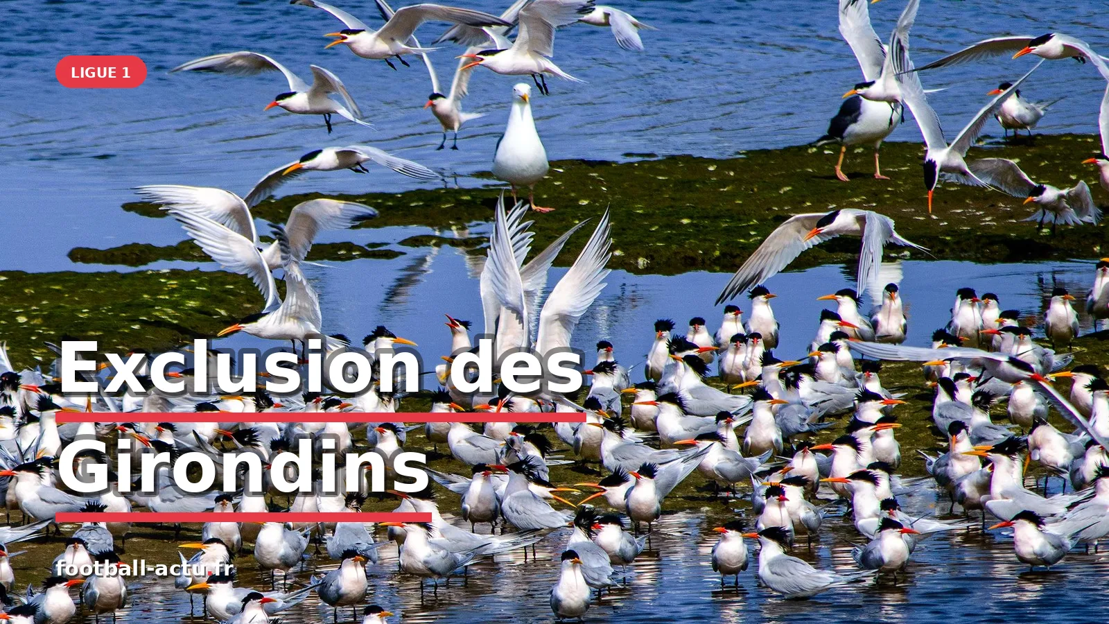 Bordeaux exclu des championnats nationaux : l'avenir incertain du club